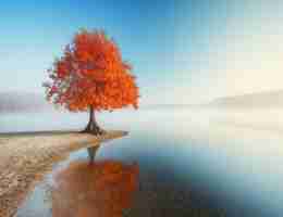 高﻿级‌CDN节﻿点‍系﻿统‌